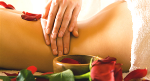 rose_body