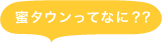 女性向け高収入求人情報サイト「蜜タウン」ってなーに？